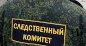 Следователи проводят проверку по факту смерти мужчины с собачкой в селе Чемодановка