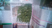 Полицейские нашли у 25-летнего пензенца 30 грамм зеленой отравы