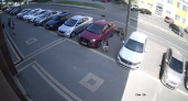 На улице Бородина в Пензе собаки погнались за мальчиком 