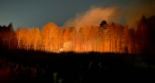Пожарные заметили и успели потушить ночной пожар в Никольском лесничестве