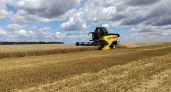 По оперативной информации в Пензенской области намолочено 2,6 миллиона тонн зерна