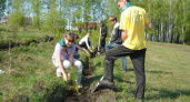 Школьники высадили 6000 сеянцев в лесах Пензенской области