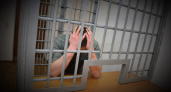Судимый житель Никольского района отправится в тюрьму еще на 9 лет 