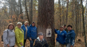 В Пензенской области обнаружили сосны и дубы, которые являются ровесниками семьи Радищевых 