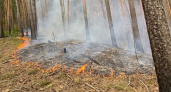 В Пензенской области завершился пожароопасный сезон