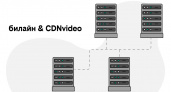 билайн приобрел сеть доставки контента CDNvideo