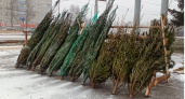 В Пензе продавцам на елочных базарах посоветовали надеть шапку Деда Мороза, халат и рукавицы