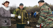 За 2 месяца в Пензенской области высадили более 65 тысяч молодых деревьев