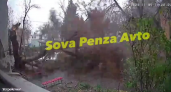 На видео попал момент падения большого дерева на машины на Свердлова в Пензе