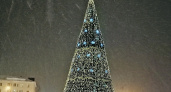 Более 50 елей украсят к Новому году в Пензе