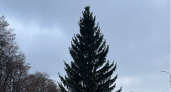 В Кузнецке на центральной площади поставили пышную главную елку