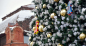 В Пензе главная городская елка готова к предстоящим праздникам
