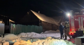 В Пензенской области выясняют обстоятельства гибели двух мужчин при пожаре в селе Лопуховка