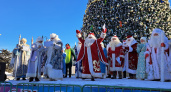 В Пензе 14 января прошло закрытие новогодней кампании и закрытие "дома Деда Мороза"