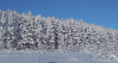 В Пензенской области 27 января ожидается облачная погода и небольшой снег
