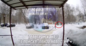 В Пензе на Одесской около четвертого дома бегает косуля 