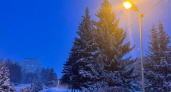 В среду в Пензенской области ожидается до -12 градусов и небольшой снег