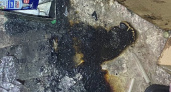 Стала известна причина пожара на улице Новоселов Пензы, где нашли погибшую женщину 