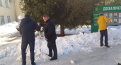 Сотрудники Минлесхоза Пензенской области в рамках месячника вышли на уборку снега