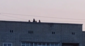 Дети играют на крыше высотки по улице Ленина в Заречном 