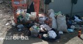 Пензенцам рассказали, когда вывезут мусор на Ударной около Православной Гимназии