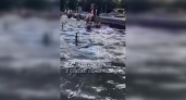 В Пензе намерены ограничить возможность купания в главном фонтане города