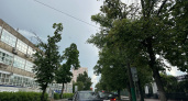 14 июня в Пензенской области ожидаются сильные порывы ветра, грозы и град