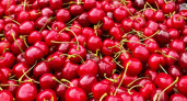 Лишь химикаты и возбудители ротавируса: россиянам рассказали, какую черешню точно нельзя покупать