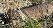 Снаряд с времен Гражданской войны, найденный на участке пензенца, обезврежен