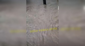 Пензенцы шокированы видео потопа после воскресного ливня на Московской