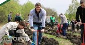 Более 50 тысяч новых деревьев высадят в Пензенской области
