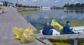 В Пензе от мусора очищена водная гладь р. Суры