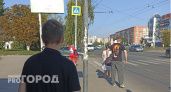 В Пензенской области введен карантин из-за жука-вредителя