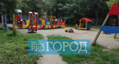 В Пензе к 1 ноября преобразятся 23 детские площадки 