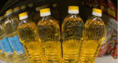 Химический яд в красивой бутылке: Роскачество назвало худшие бренды растительного масла
