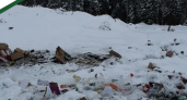В Никольске и Лунино уберут две свалки