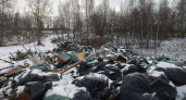 Неизвестные устроили несанкционированную свалку в Нижнеломовском районе