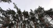 Власти назвали причину, по которой морг в Спасске не работает с 2013 года