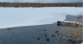 В Пензе следователи расследуют гибель мужчины, провалившегося под лед