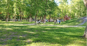 В Вадинске в рамках нацпроекта будет благоустроена парковая зона