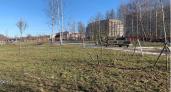 В Индерке приведут в порядок территорию парка возле стадиона