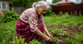 Пенсионерам с дачей или участком дадут разовую выплату в апреле: названы точные сроки 