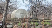 С 1 мая теплицы под запретом: приняли новое решение для всех россиян, у кого есть дача или участок, — новые штрафы