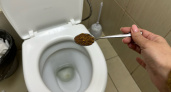 В 33 года узнала, зачем класть зубную пасту в бачок унитаза: чищу раз в полгода — сама не нарадуюсь этой хитрости
