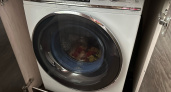 Вот почему нельзя мыться во время работы стиральной машины — запомните раз и навсегда