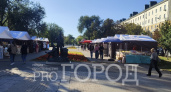 «Почему в сквере торгуют низкокачественными трусами, консервами и специями?»: пензенца возмутила ярмарка в центре города 
