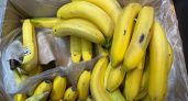 Бананы: как продлить свежесть фруктов с помощью фреш-пака.