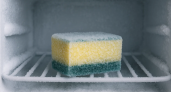 Как заморозка губки убивает бактерии и продлевает её жизнь без лишних затрат