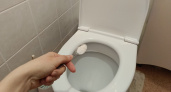 Как прочистить унитаз горчицей. Простой рецепт от засора 