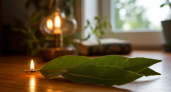 Зачем жгут лавровый лист? Научные причины и польза для воздуха 